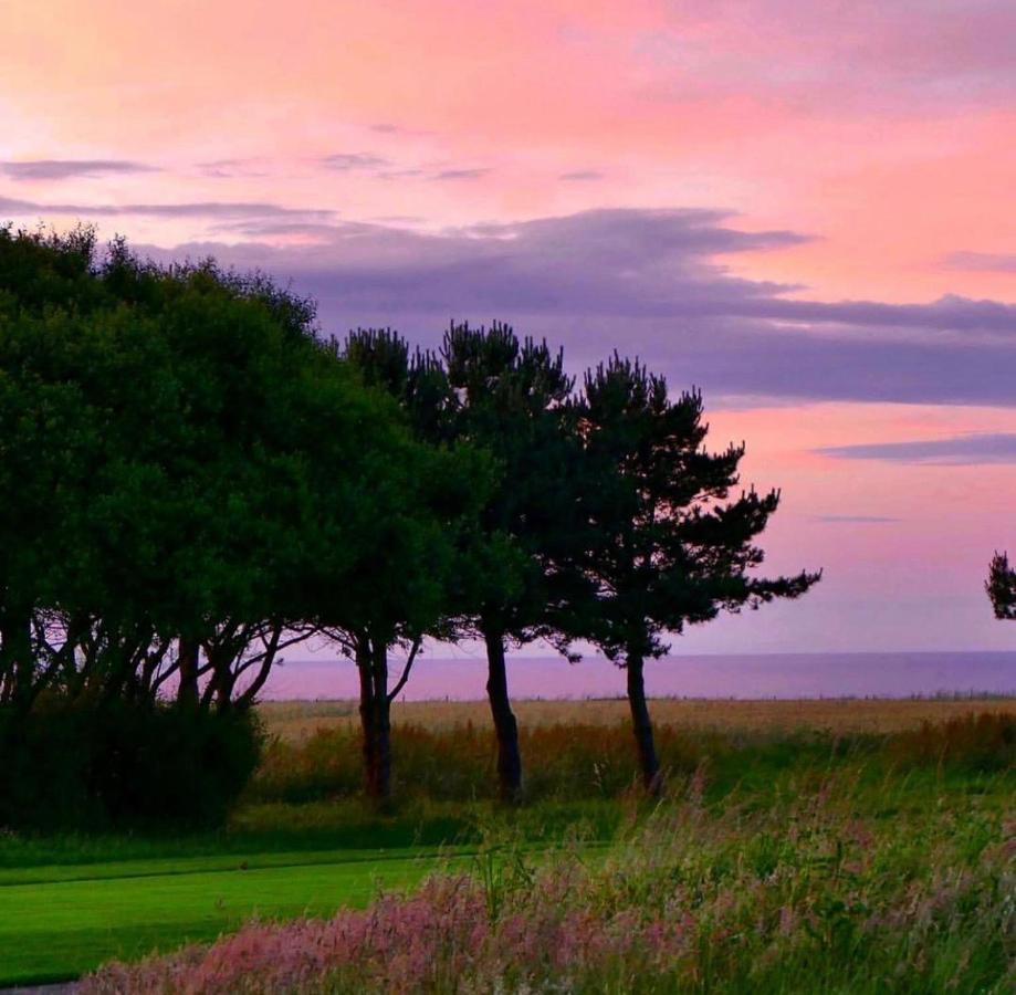 Normandy'S Green By The Sea Port-en-Bessin-Huppain Esterno foto